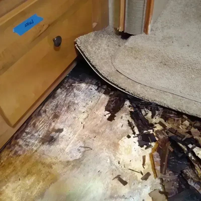 Wood Floor Water Damage in Palatine, IL